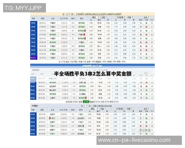 全面解析中国竞彩足球计算器的使用技巧与投注技巧分享